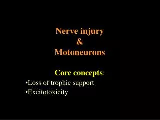 Nerve injury &amp; Motoneurons