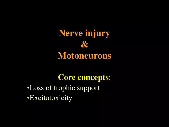 nerve injury motoneurons