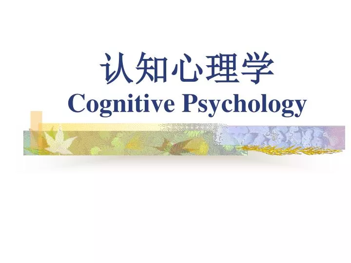 cognitive psychology