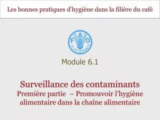 module 6 1