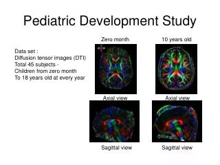 Pediatric Development Study