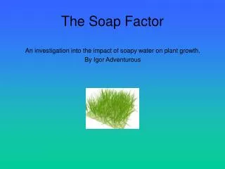 The Soap Factor