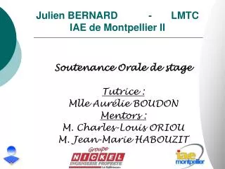 julien bernard lmtc iae de montpellier ii
