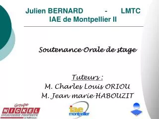 julien bernard lmtc iae de montpellier ii