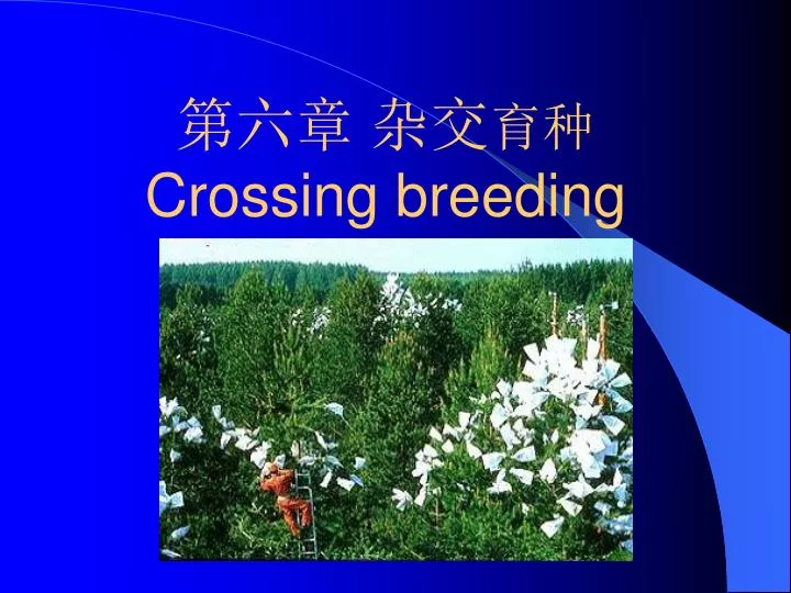 crossing breeding