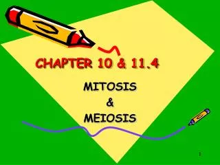 CHAPTER 10 &amp; 11.4