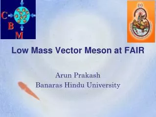 Low Mass Vector Meson at FAIR
