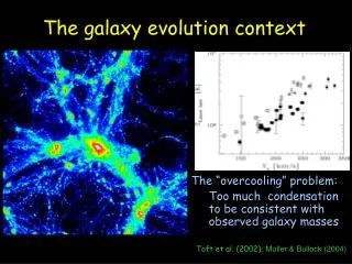 The galaxy evolution context