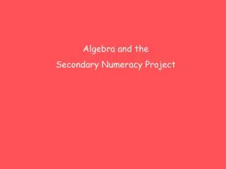 Algebra and the Secondary Numeracy Project