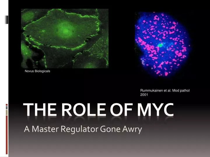 the role of myc