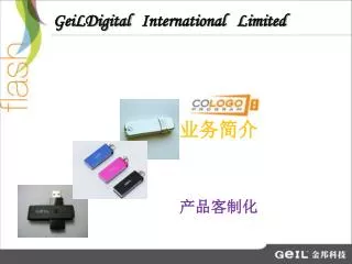 GeiLDigital International Limited