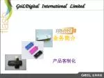 GeiLDigital International Limited - slide 1