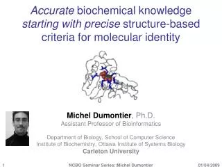Michel Dumontier , Ph.D. Assistant Professor of Bioinformatics