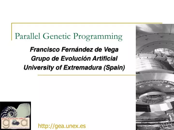 parallel genetic programming