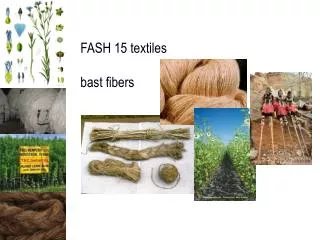FASH 15 textiles bast fibers