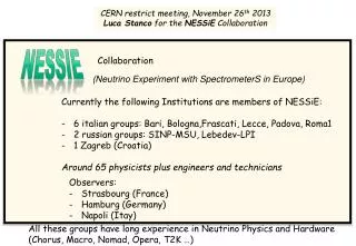 CERN restrict meeting, November 26 th 2013 Luca Stanco for the NESSiE Collaboration