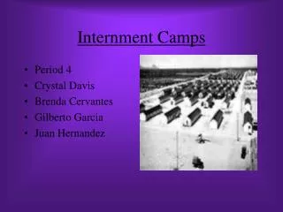 Internment Camps