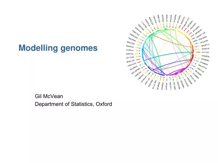 modelling genomes