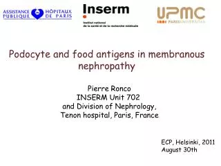 Podocyte and food antigens in membranous nephropathy