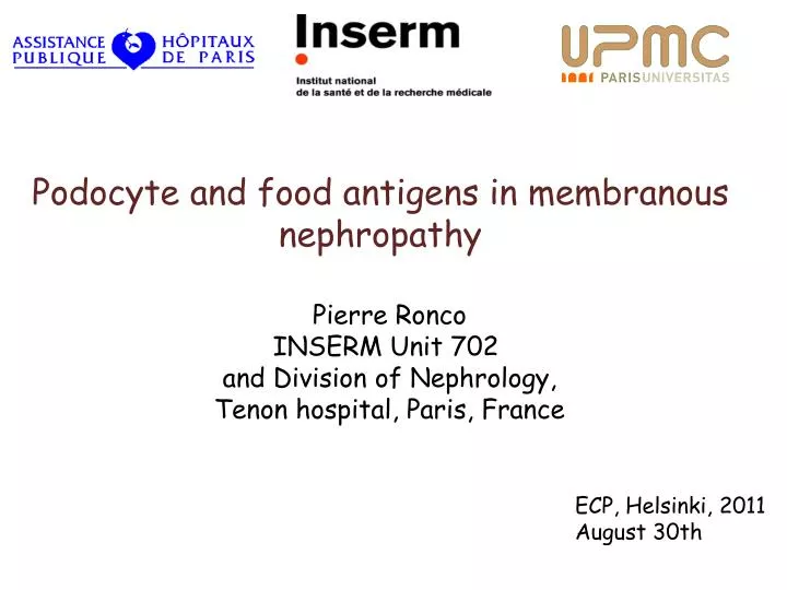 podocyte and food antigens in membranous nephropathy