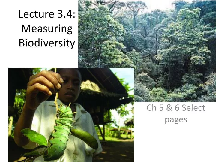 lecture 3 4 m easuring biodiversity