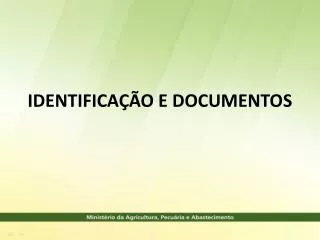 identifica o e documentos