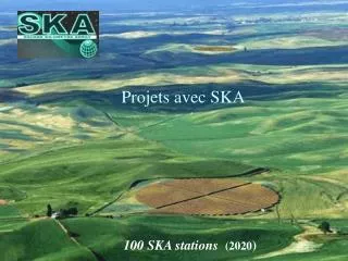 100 SKA stations (2020 )