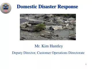 Domestic Disaster Response