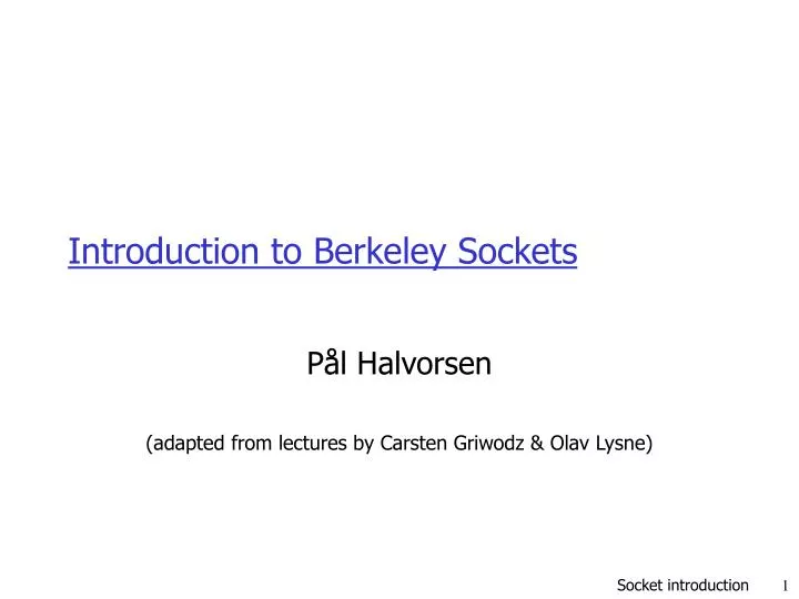 introduction to berkeley sockets