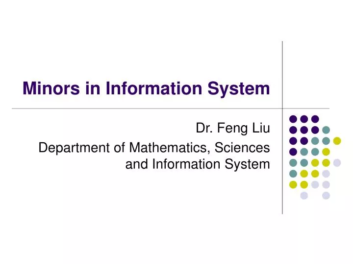 minors in information system
