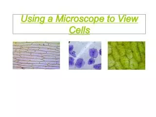 Using a Microscope to View Cells