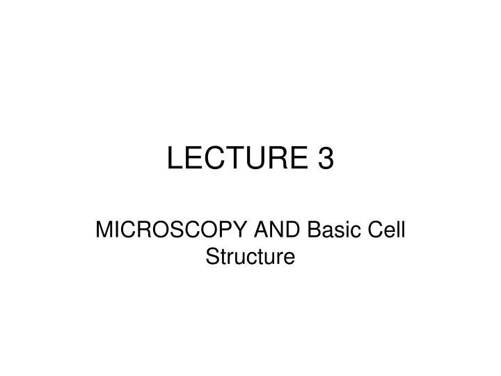 PPT - LECTURE 3 PowerPoint Presentation, free download - ID:4206627