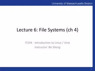 Lecture 6: File Systems ( ch 4)
