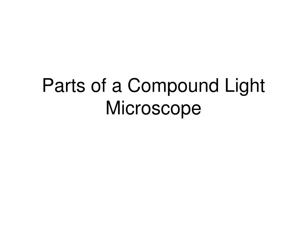 PPT - Parts of a Compound Light Microscope PowerPoint Presentation ...
