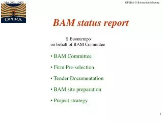 BAM status report