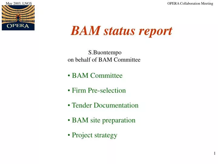 bam status report