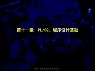 pl sql