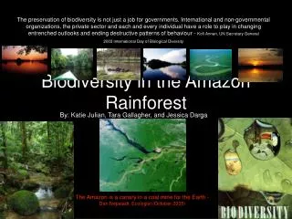 Biodiversity in the Amazon Rainforest