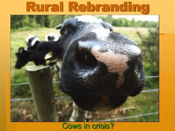 rural rebranding
