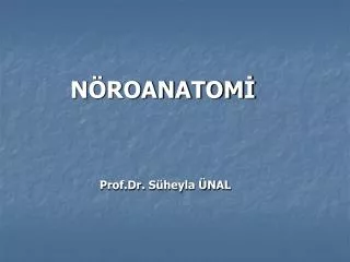 n roanatom prof dr s heyla nal