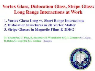 Vortex Glass, Dislocation Glass, Stripe Glass: Long Range Interactions at Work