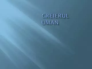 creierul uman
