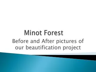 Minot Forest
