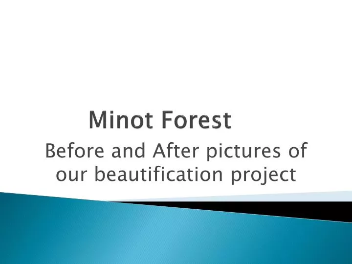 minot forest