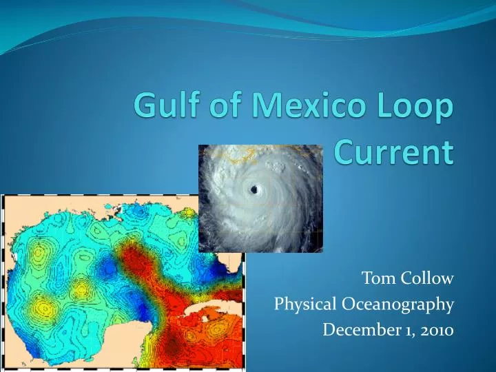 gulf of mexico loop current