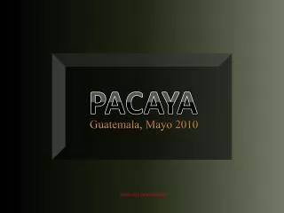 PACAYA