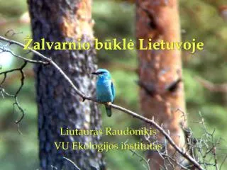 alvarnio b kl lietuvoje
