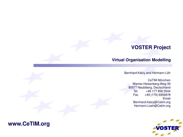 voster project virtual organisation modelling