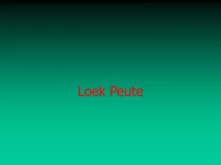 loek peute