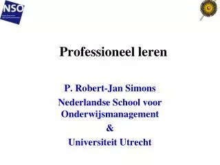 professioneel leren